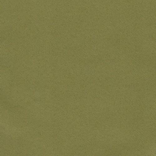 оливковый 81859-1