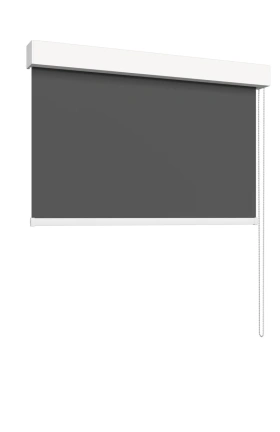 Slide 01
